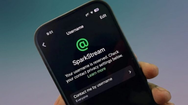 WhatsApp Username Feature in India: Privacy Update Faces Government Review